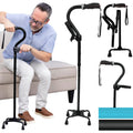 Stand Assist Cane