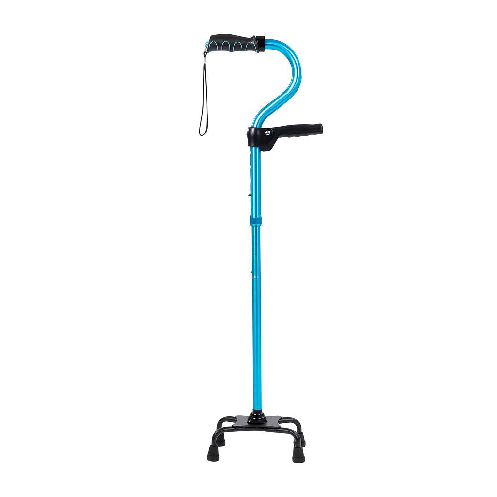 Stand Assist Cane