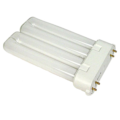 19081BULB.jpg