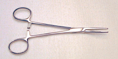5650.jpg