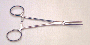 5650.jpg