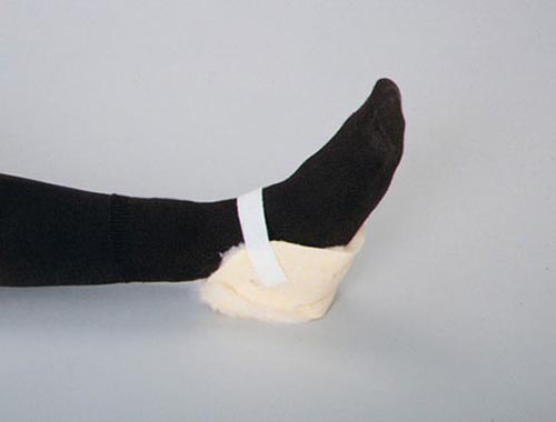 SC503010.jpg